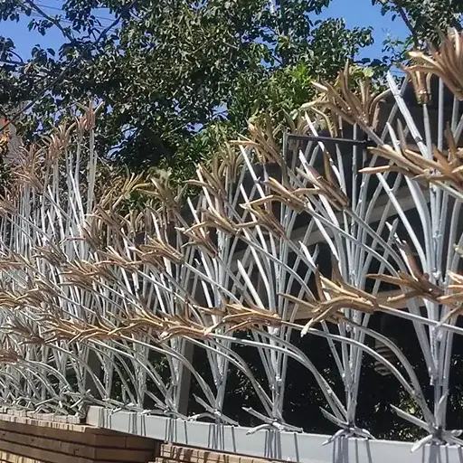 حفاظ دیوار لیلیوم