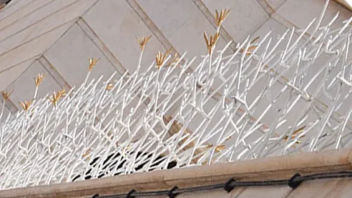 حفاظ لیلیوم